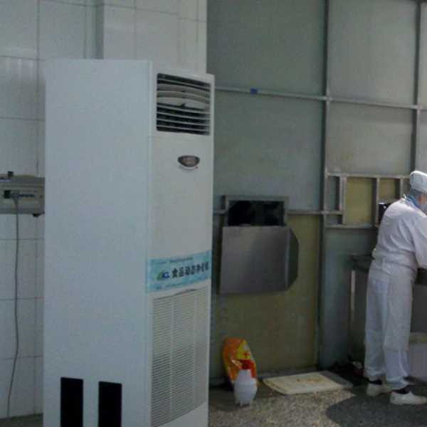 莱芜食品正负离子空气杀菌器